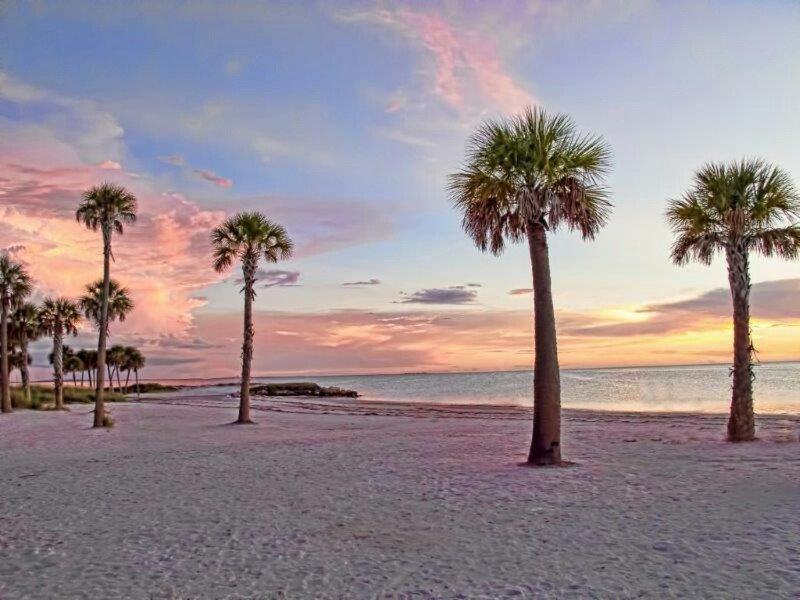 Hibiscus Hideaway Villa Tarpon Springs Ngoại thất bức ảnh
